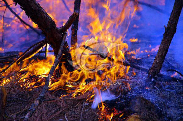 刀耕火種時(shí)代的照明