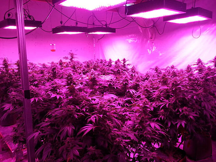 疫情之下,照明燈具企業(yè)如何求生